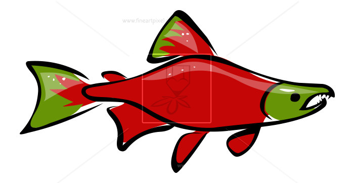 700x362 Red Salmon Fish Free Vectors, Illustrations, Graphics, Clipart