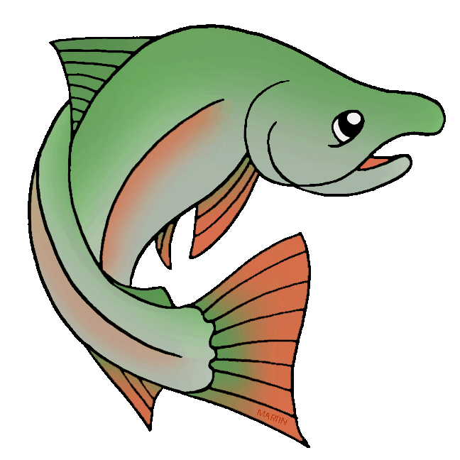 648x648 Salmon Clipart Clipart Panda