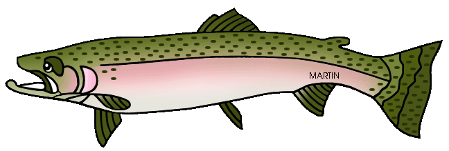 648x219 Animals Clip Art By Phillip Martin, Steelhead Trout
