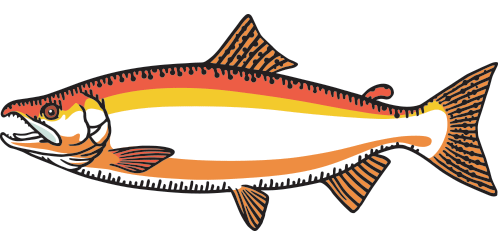 498x246 The Best Port Renfrew Fishing Charter