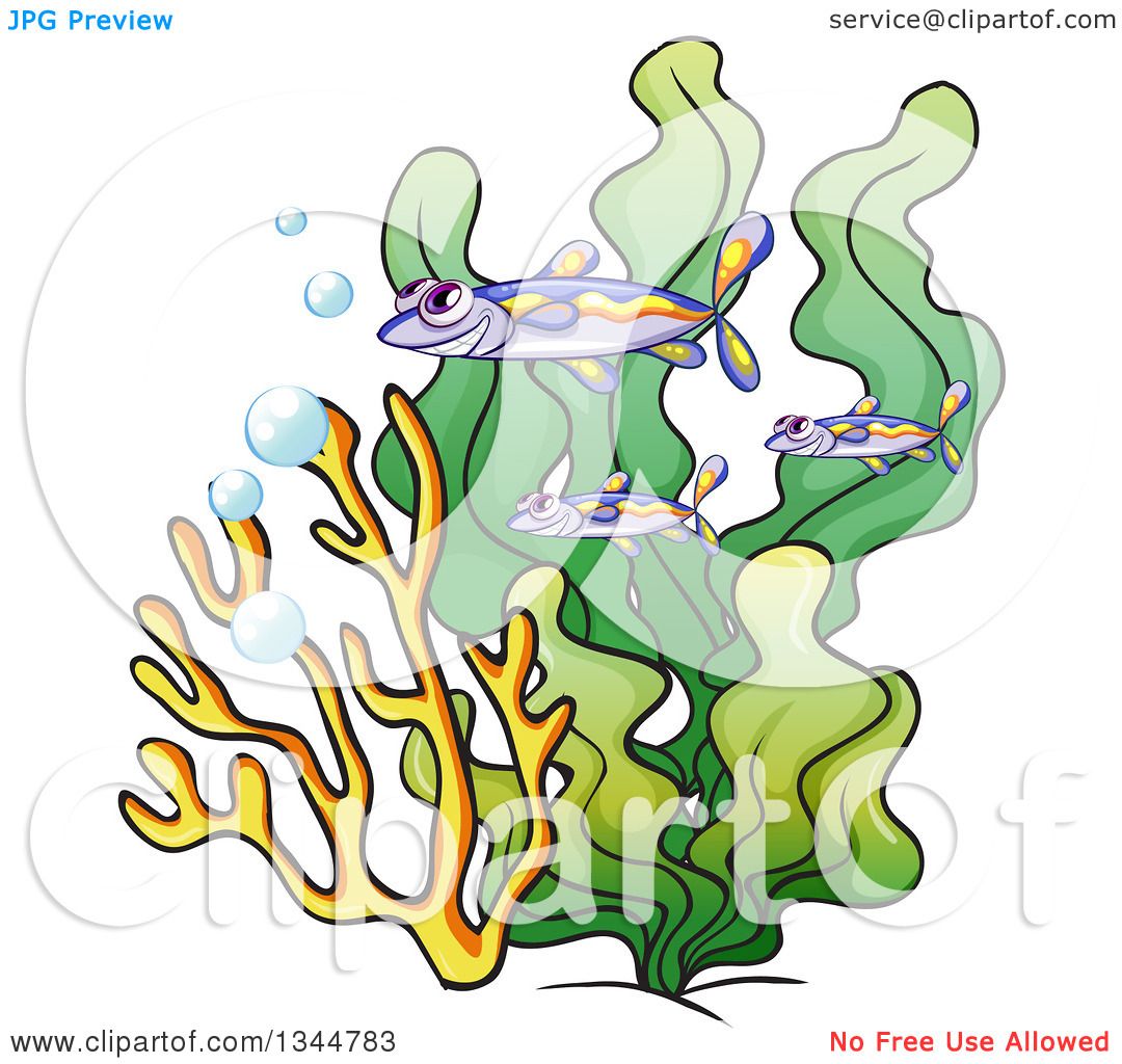 1080x1024 Clipart Of Tropical Marine Saltwater Fish Over Coral And Seaweed 2