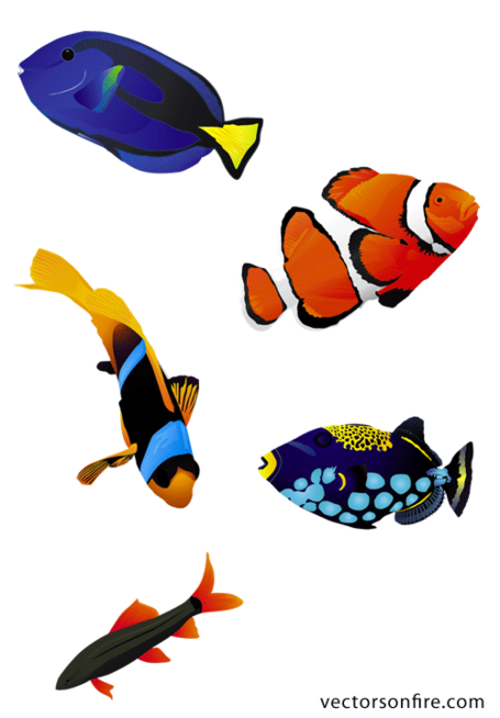 455x654 Free Colorful Aquarium Fish (5 Fish) Clipart And Vector Graphics