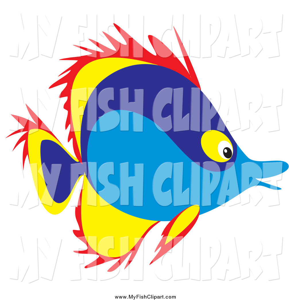 1024x1044 Salt Water Fish