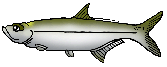 648x263 United States Clip Art By Phillip Martin, State Salt Water Fish