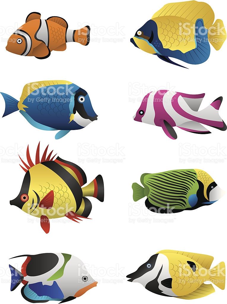 765x1024 A Colorful Assortment Of Tropical Fish Illustrated In Vector