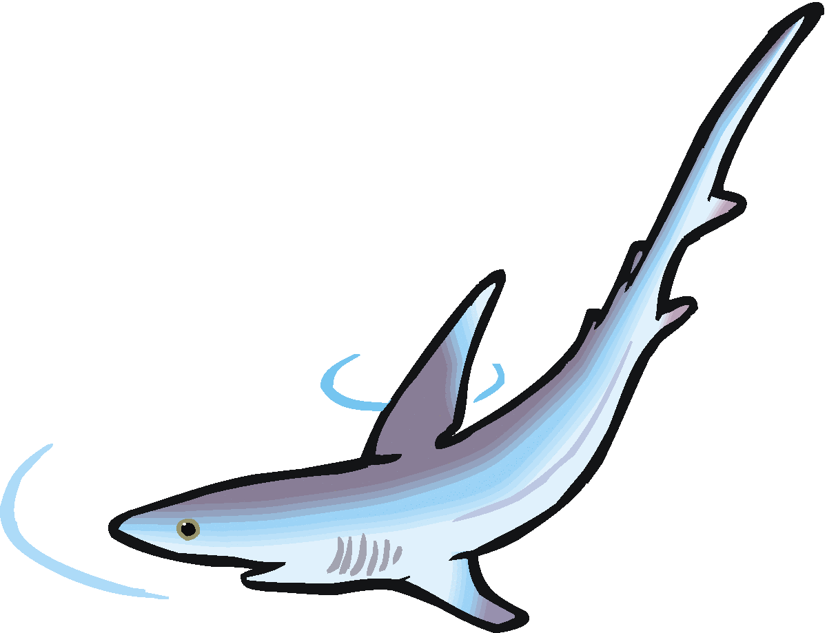 1200x919 Clip Art Sharks Clip Art