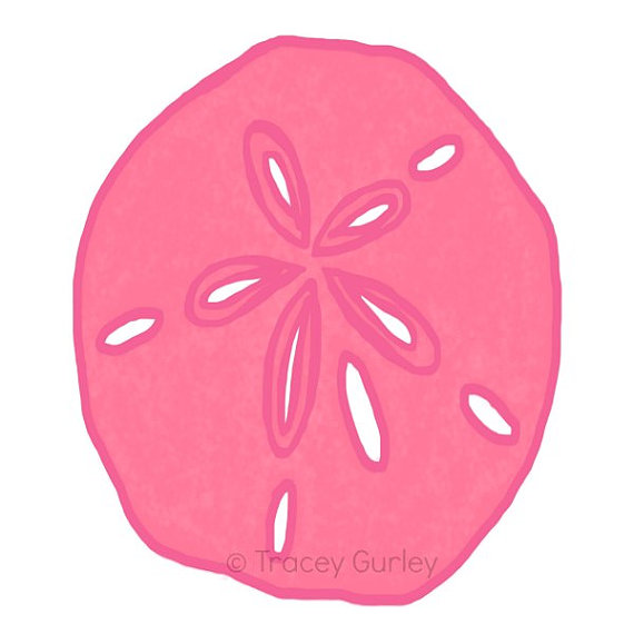 570x570 Pink Sand Dollar