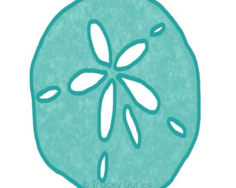340x270 Sand Dollar Clip Art, Clipart Panda