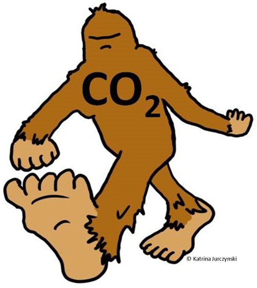 884x991 Footprints Clipart Sasquatch