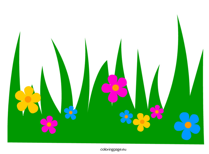 808x595 Grasses Clipart