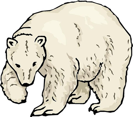 455x400 Top 83 Polar Bear Clipart