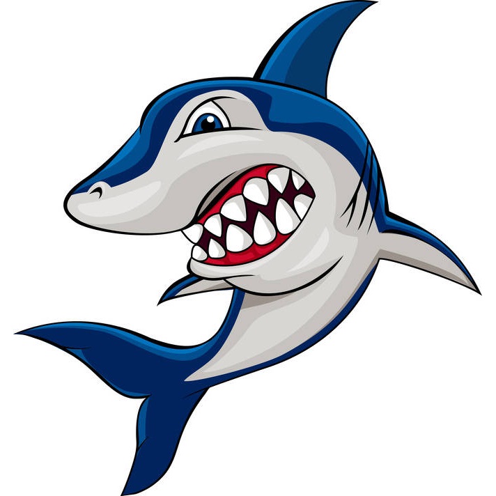 712x712 Free Shark Images
