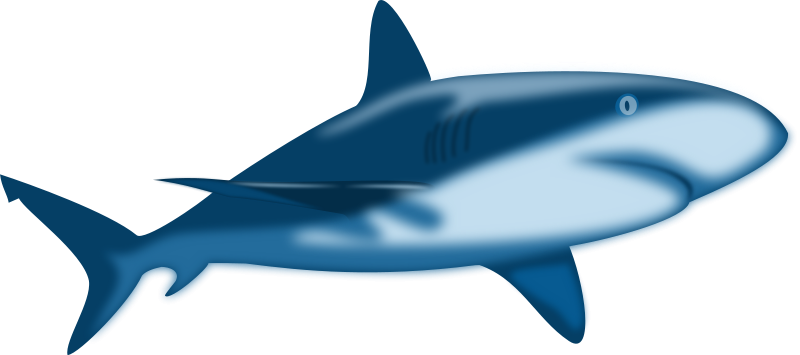 800x355 Tiger Shark Clip Art Clipart Panda