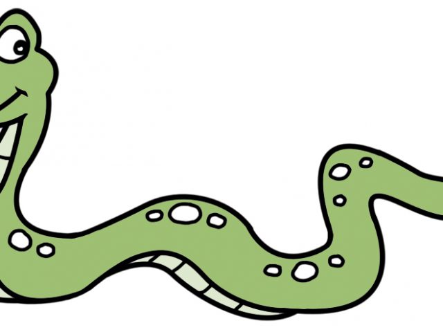 640x480 Snake Animated Images Gallery Images)