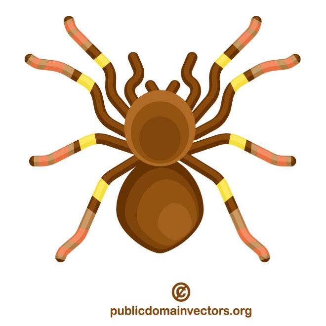 660x660 Tarantula Free Vector
