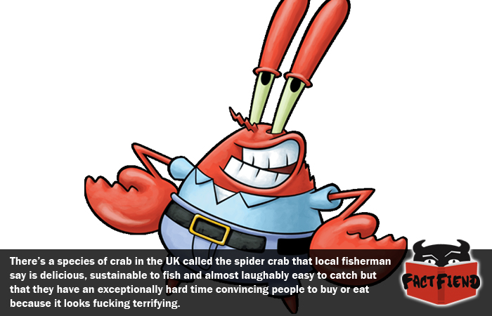 700x450 The Crab That's Too Scary To Be Delicious