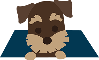 331x200 Home My Schnauzers