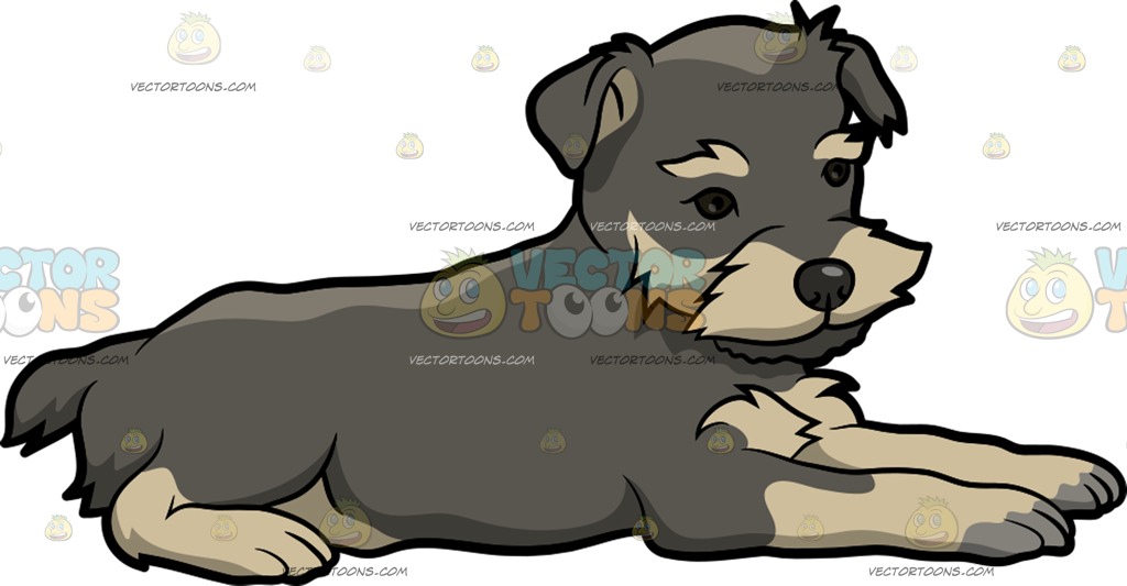 1024x533 A Lovely Miniature Schnauzer Puppy Cartoon Clipart Vector Toons