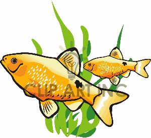 300x274 School Of Fish Clipart Clipart Panda