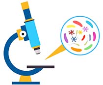 210x173 Free Science Clipart