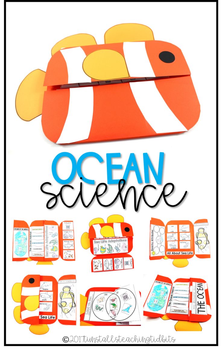 736x1159 Universe Clipart Kindergarten Science