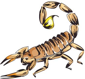 350x325 Free Scorpion 1 Clipart And Vector Graphics