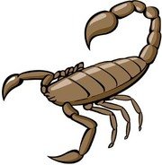 180x184 Free Scorpion Clipart And Vector Graphics