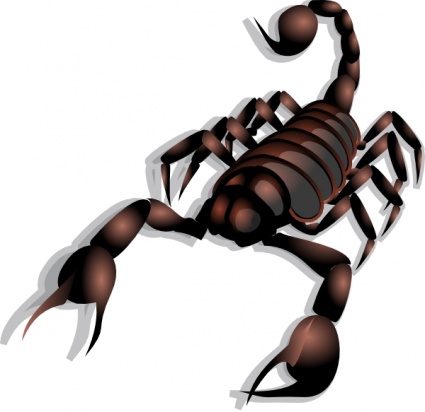 425x412 Free Download Of Scorpion Clip Art Vector Graphic