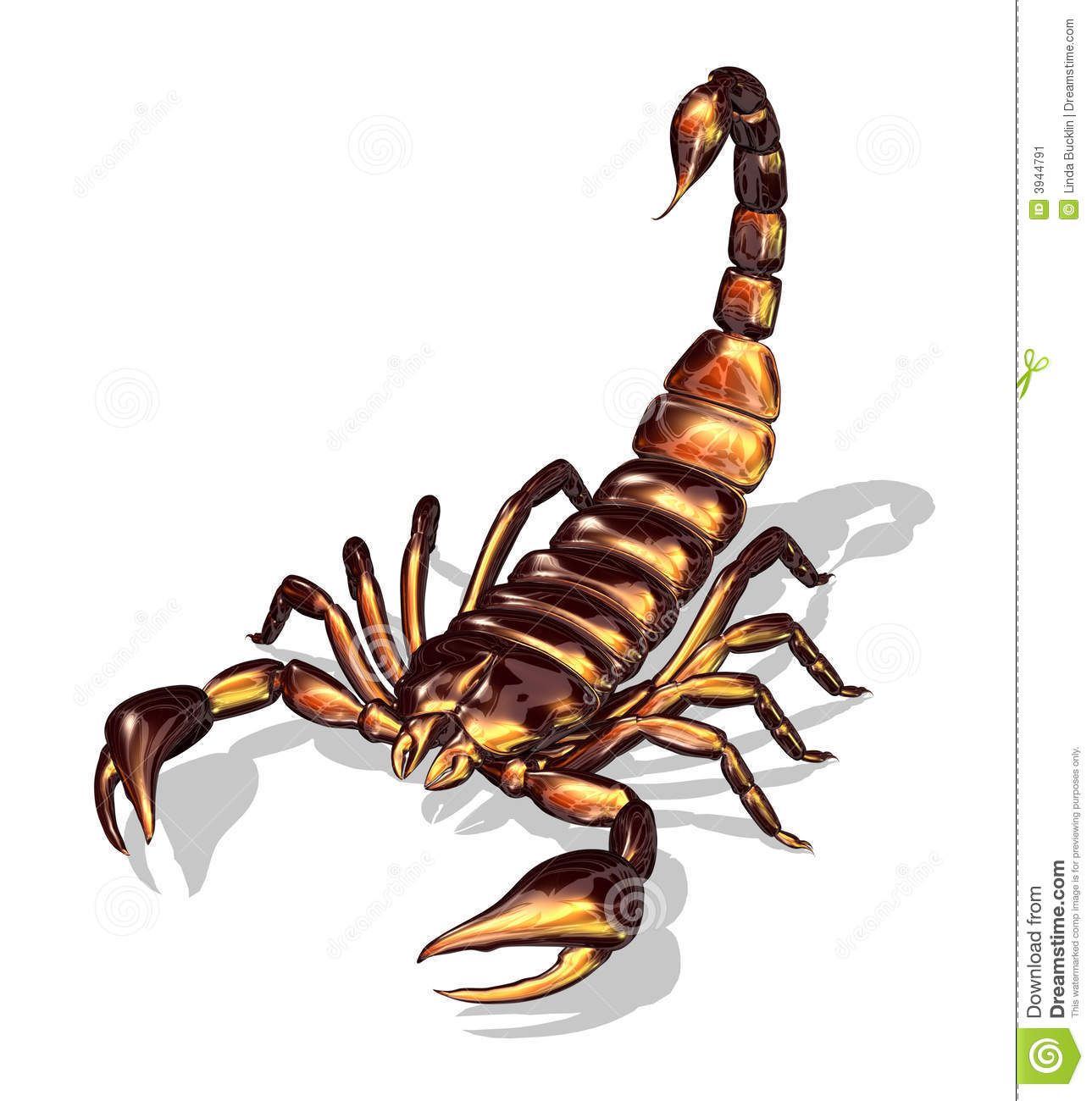 1289x1300 Scorpion Stock Illustrations, Vectors, Amp Clipart (2,346 Stock