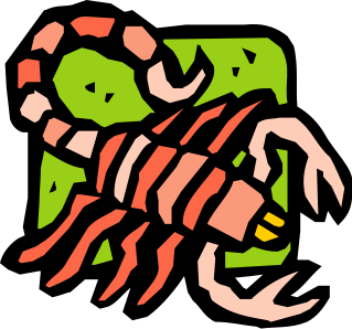 319x298 Scorpion Clip Art Clipart Panda