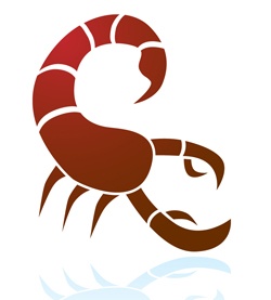 250x277 Scorpion Clipart Scorpio Zodiac