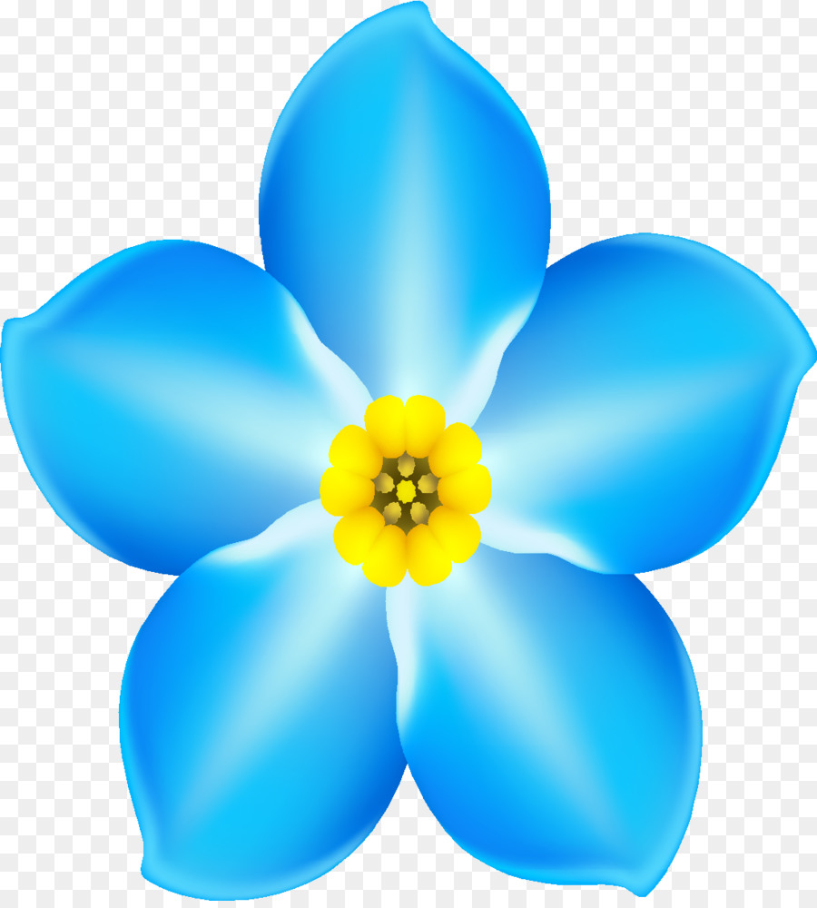 900x1000 Scorpion Grasses Forget Me Not Cafe Clip Art