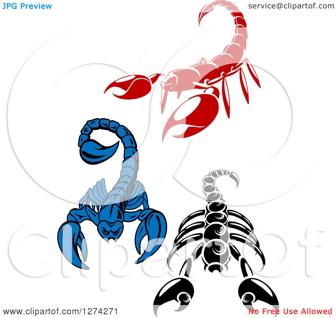 1080x1024 Clipart Of Red Black And White And Blue Scorpions