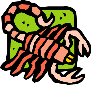319x298 Cute Scorpion Cliparts