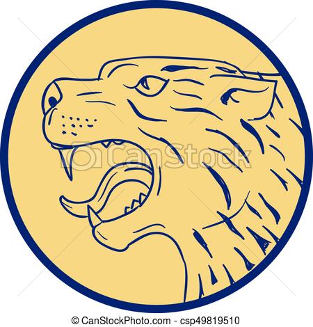 450x470 Scottish Wildcat Head Side Drawing. Illustration Of A Vector