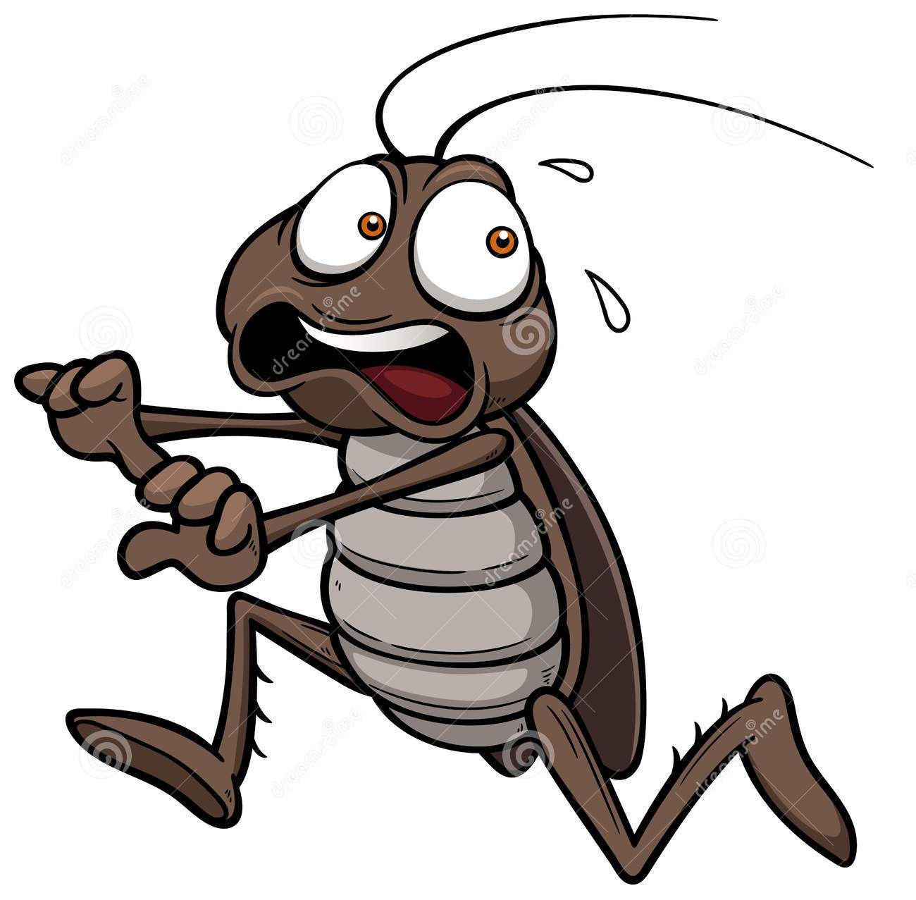 1300x1277 Screw Clipart Parang