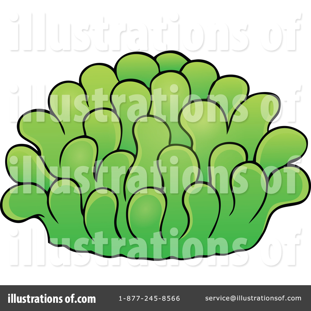 1024x1024 Sea Anemone Clipart