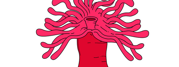 610x229 Sea Anemone Cut Out Large