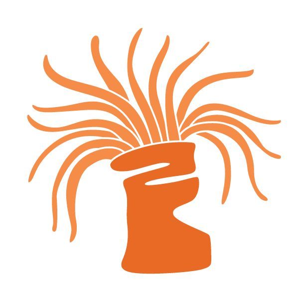 600x600 Sea Anemone Stencil Tumbler Tambler Nursery Sea