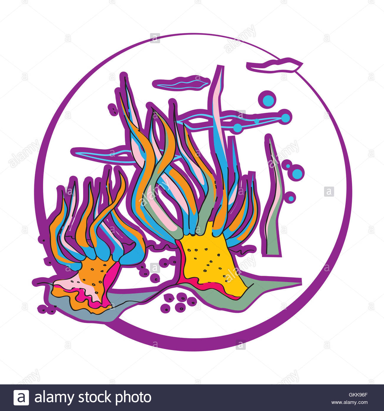 1300x1390 Sea Anemones Cut Out Stock Images Amp Pictures