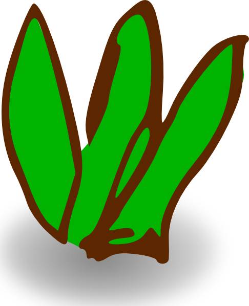 486x598 Sea Plants Clipart