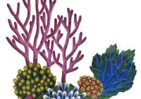 200x140 Free Coral Clipart