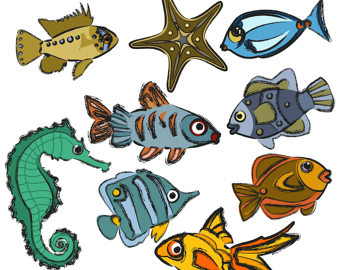 340x270 Sea Life Clipart Beach Clipart Fish Clipart Sea Turtle