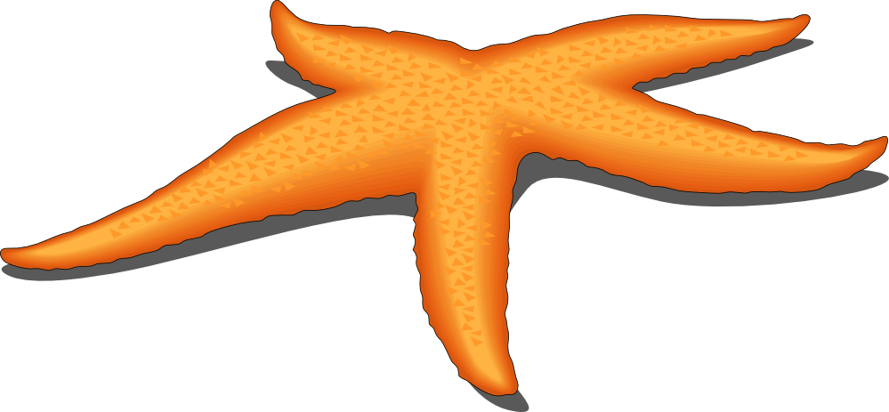 999x463 Starfish Clipart Free Download Clip Art