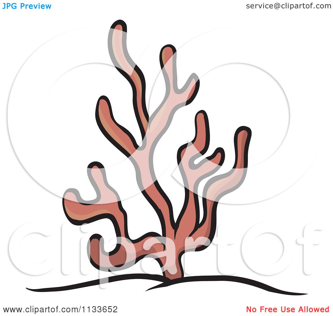 1080x1024 Cartoon Of Ocean Coral