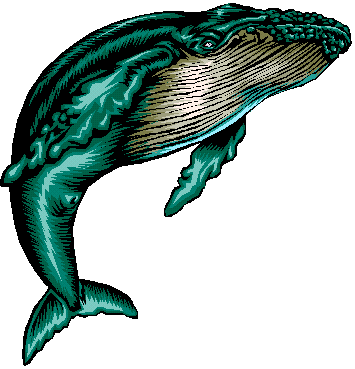 355x369 Free Whale Clip Art Pictures