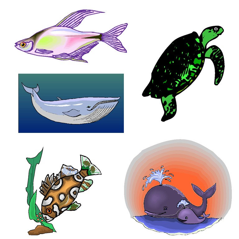 768x768 Sea Animals Clipart