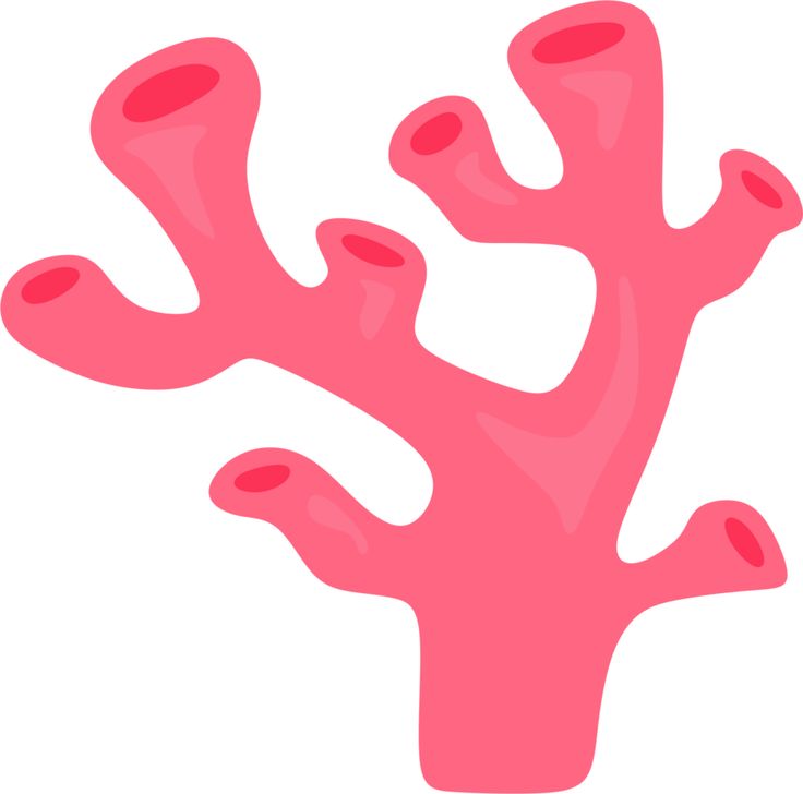 736x728 Coral Clip Art Clipartlook