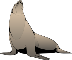 299x249 Seal With Raised Head Clip Art