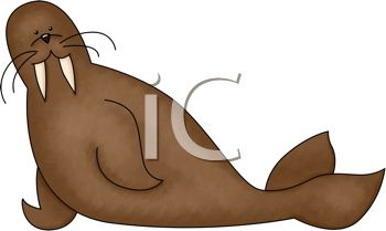 350x209 Brown Walrus